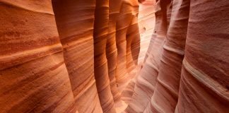 Zebra Slot Canyon