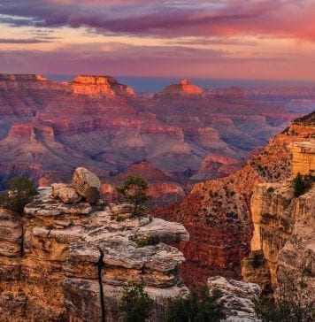 Grand Canyon National Park (South Rim)