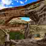 Natural Bridges National Monument